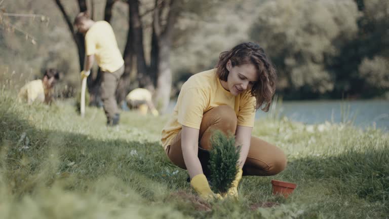Lawn Maintenance Plans in George, IA
